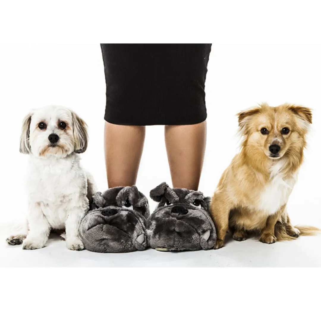 Pet Photography in Perth, Exclusive Photography portfolio